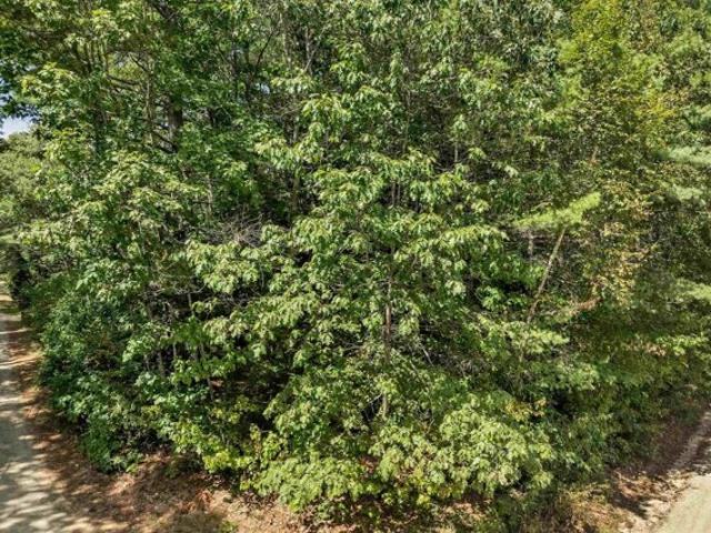 Land for sale in New Hampshire