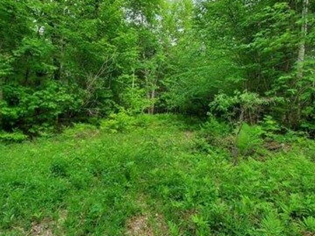 Land for sale in Andover, Maine