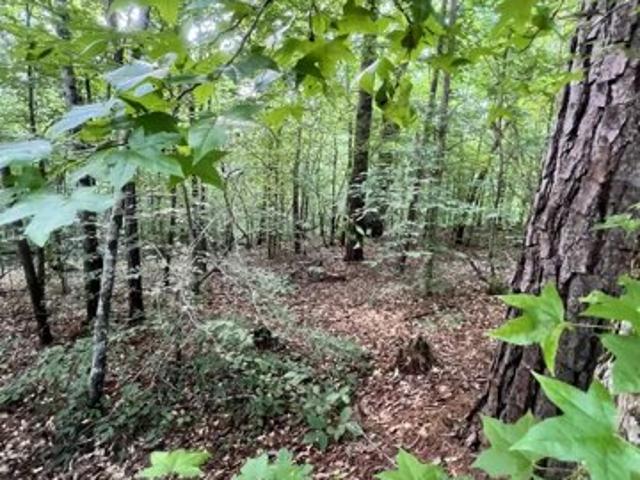 Land for sale in Alexander City