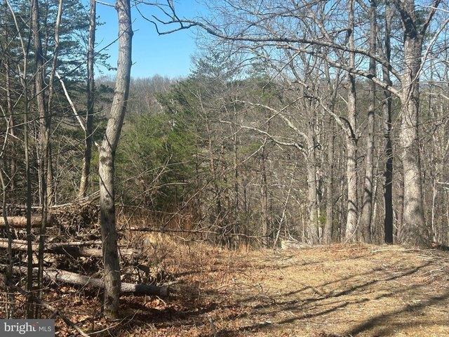 Land for sale in Virginia