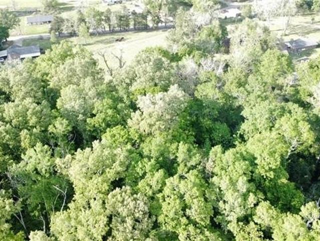Land for sale in Marksville, Louisiana
