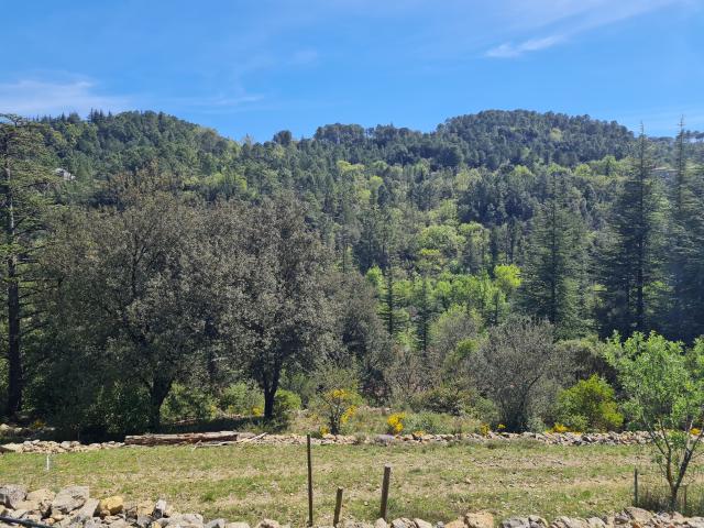 Château vente à Alès, Anduze