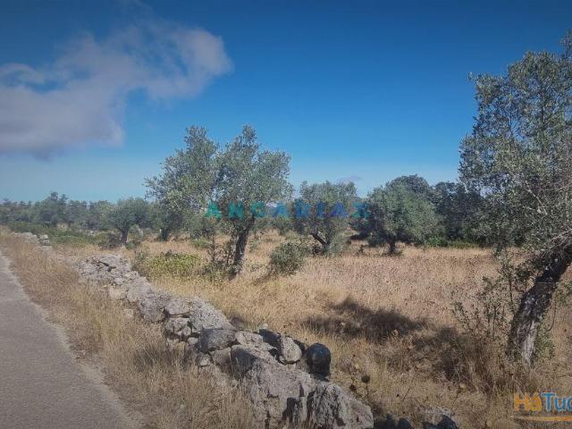 Terreno venda em Alcanena, Santarém