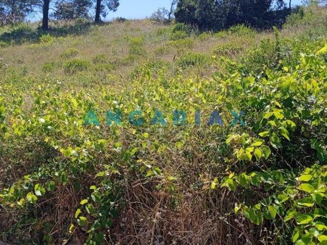 Terreno venda em Batalha, Leiria