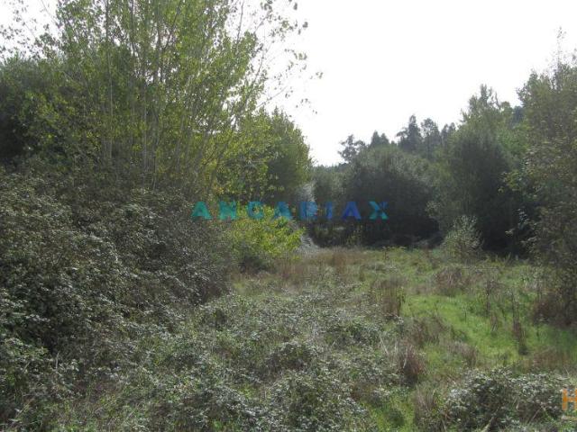 Terreno venda em Pombal, Leiria