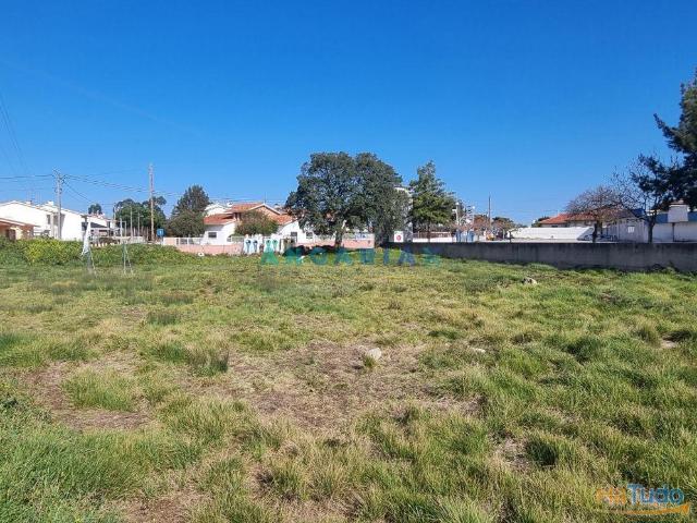 Terreno venda em Porto De Mós, Leiria