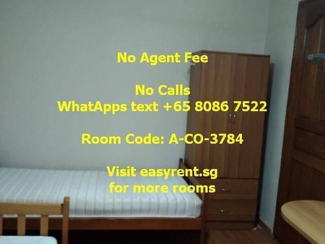 Room for rent