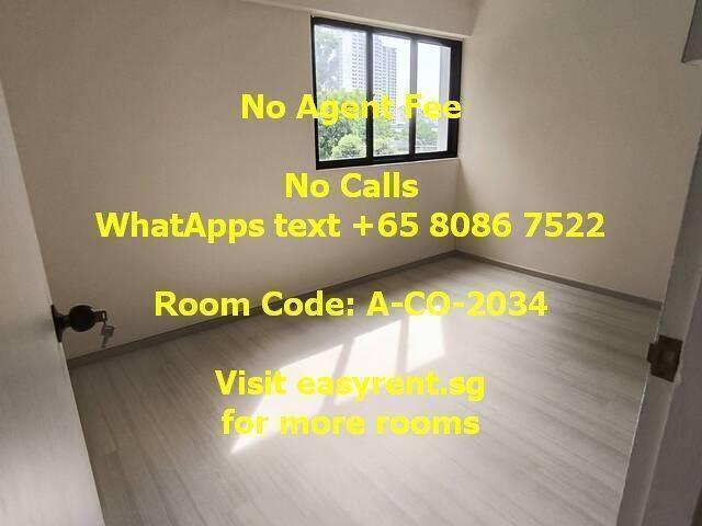 Room for rent