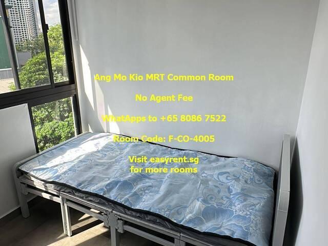 Room for rent