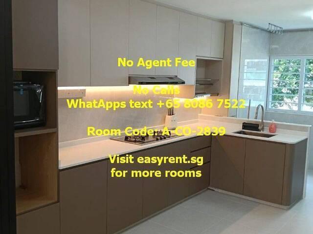Room for rent