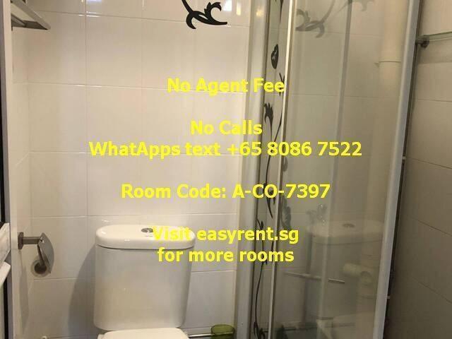 Room for rent