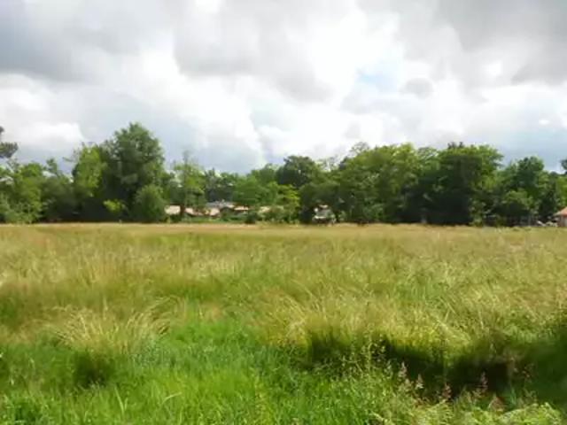 Terrain vente à France métropolitaine, Anglade