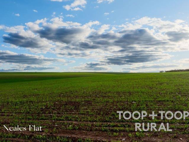 Cottage for sale in Goyder, South Australia