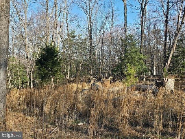 Land for sale in Virginia