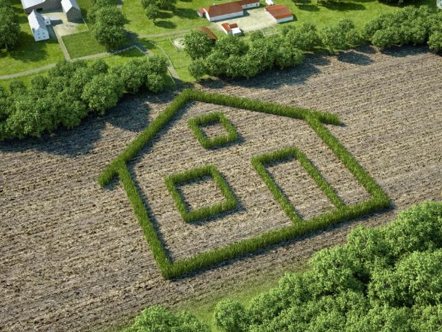 Terrain vente à France métropolitaine, Angles