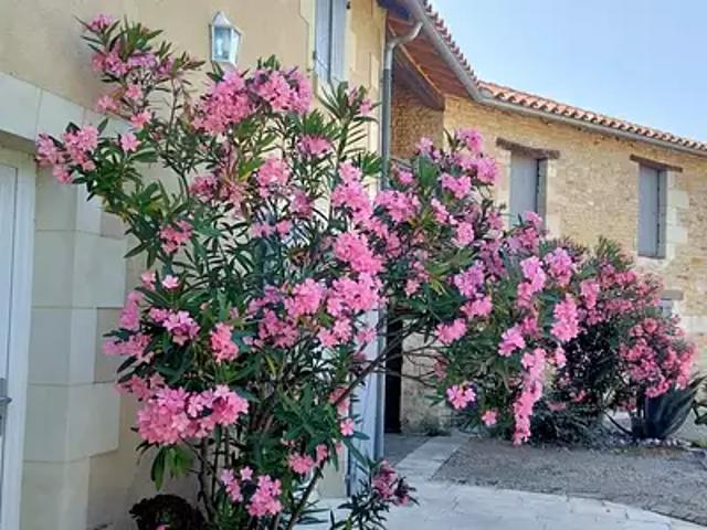 Maison vente à Châtellerault, Nouvelle-Aquitaine