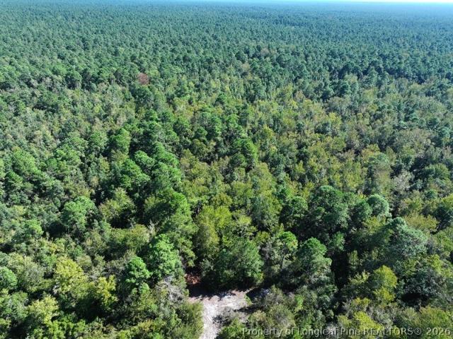 Land for sale in Wallace, Pender County