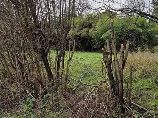 Terrain vente à Angoulême, Aignes-et-puypéroux