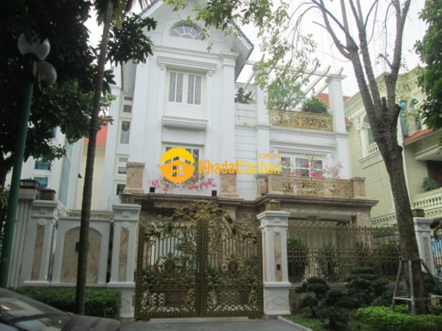 Biệt Thự bán