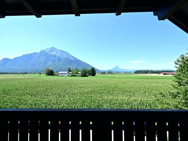 Wohnung kaufen in Anif, Salzburg