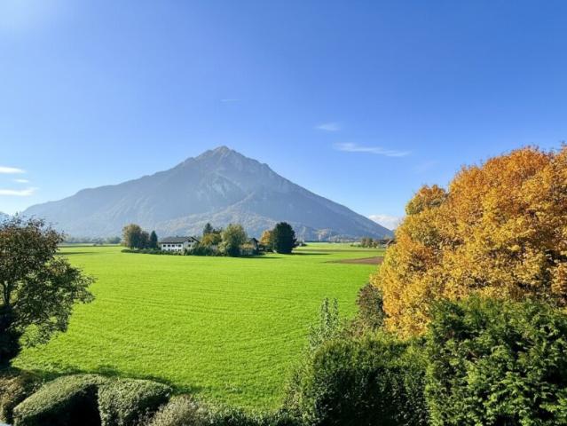 Wohnung kaufen in Anif, Salzburg