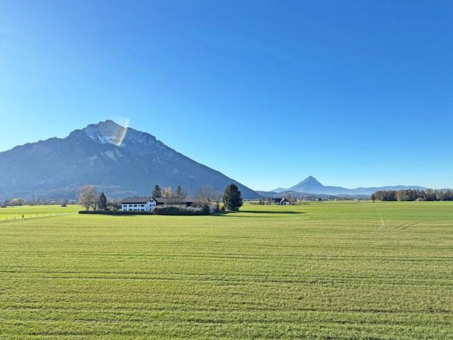 Wohnung kaufen in Anif, Salzburg
