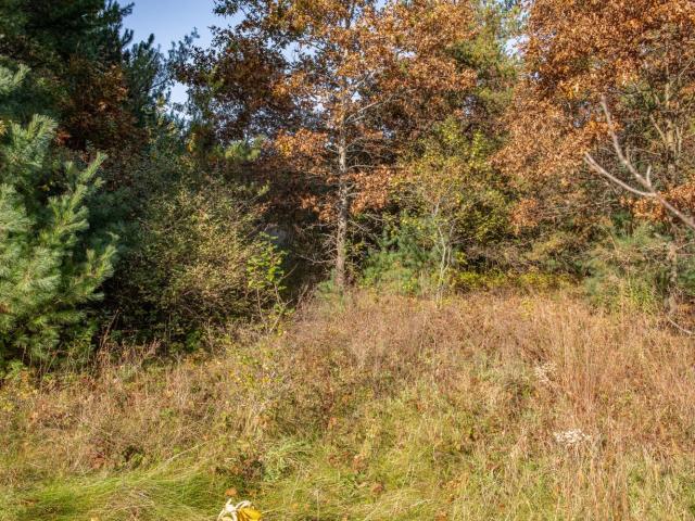 Land for sale in Town of Oasis, Waushara County