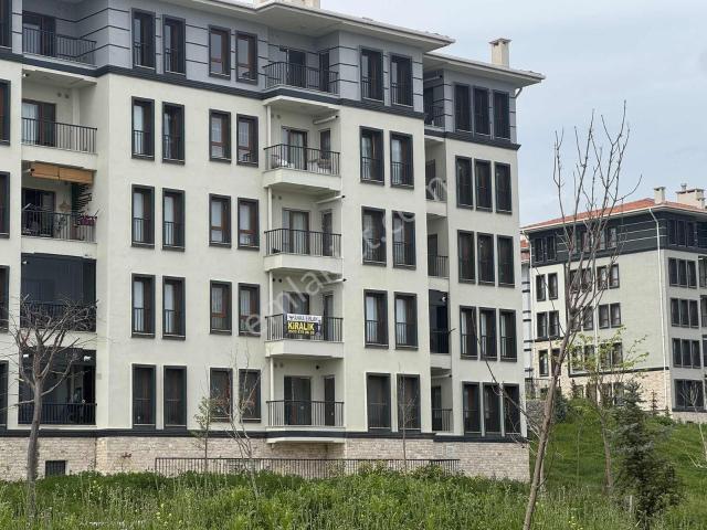 Balikesir içerisinde kiralık mülk