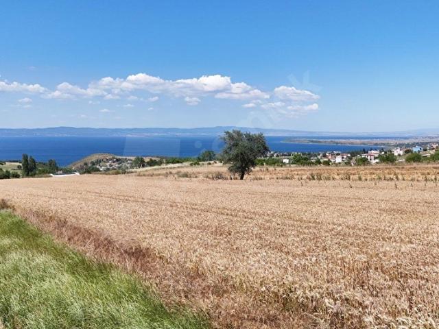 Güneyli, Gelibolu içerisinde satılık mülk