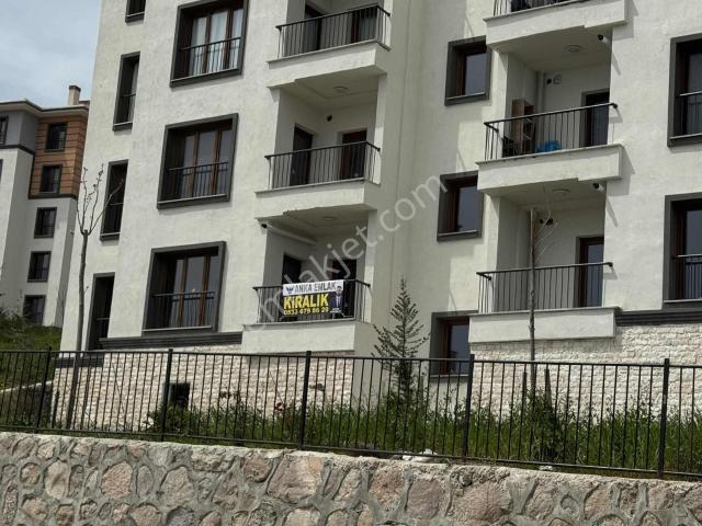 Balikesir içerisinde kiralık mülk