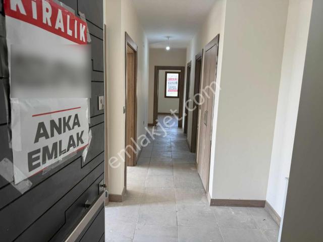 Balikesir içerisinde kiralık mülk