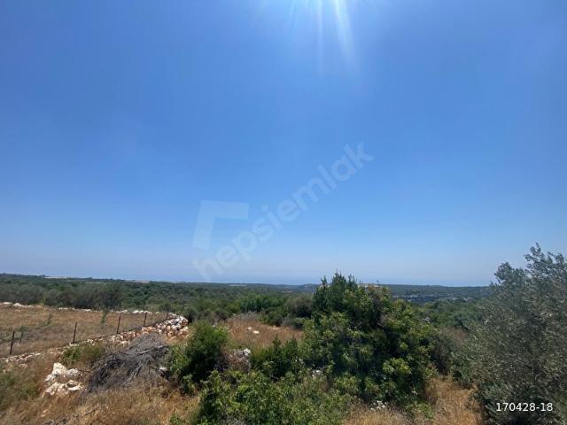 Erdemli, Mersin içerisinde satılık Arsa