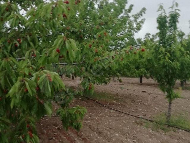 Ayaş, Ankara içerisinde satılık mülk