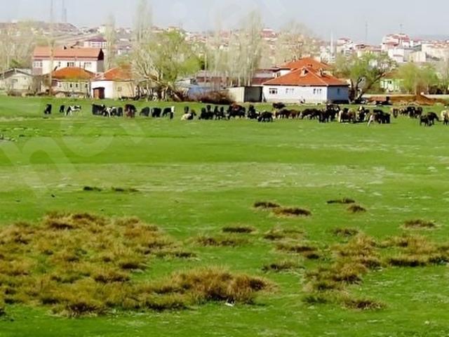 Ayaş, Ankara içerisinde satılık Arsa
