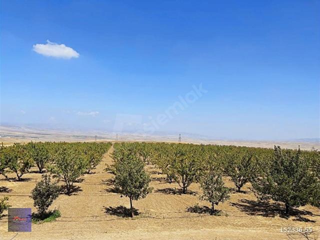 Bala, Ankara içerisinde satılık mülk