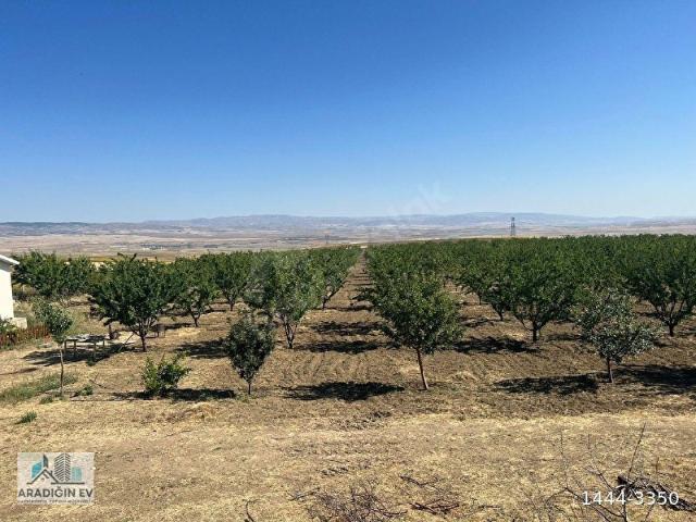 Bala, Ankara içerisinde satılık Fabrika