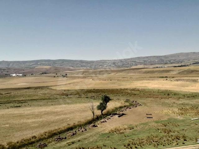 Elmadağ, Ankara içerisinde satılık mülk