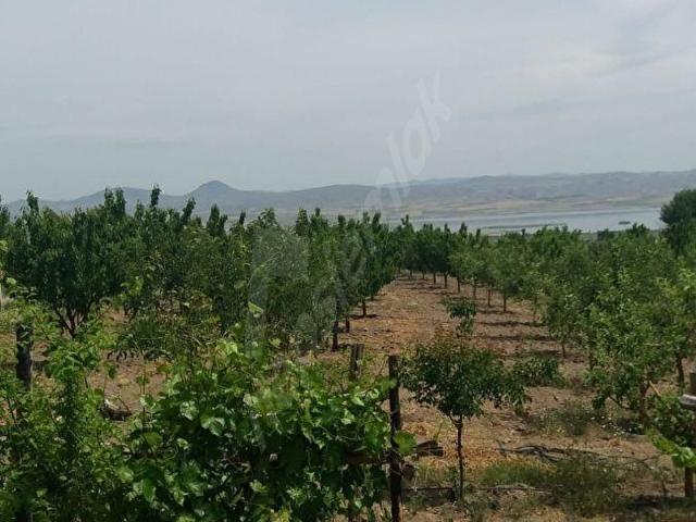 Evren, Ankara içerisinde satılık mülk