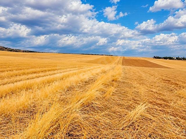 Gölbaşi, Ankara içerisinde satılık Arsa