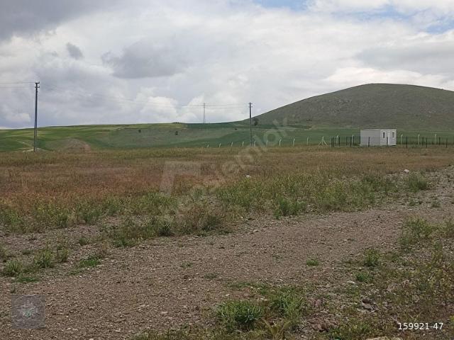 Bala, Ankara içerisinde satılık Arsa
