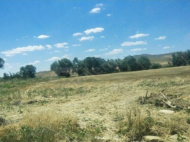 Bala, Ankara içerisinde satılık Arsa