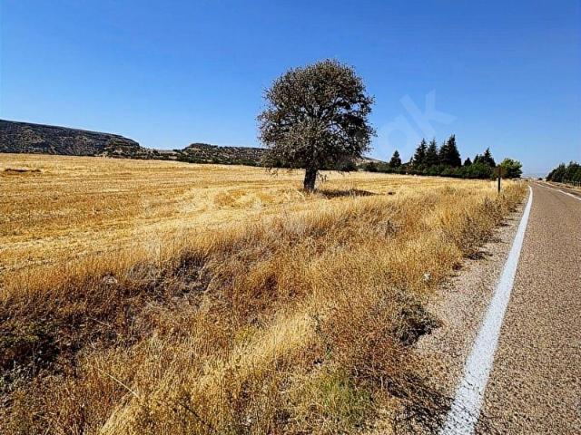 Güdül, Ankara içerisinde satılık Arsa