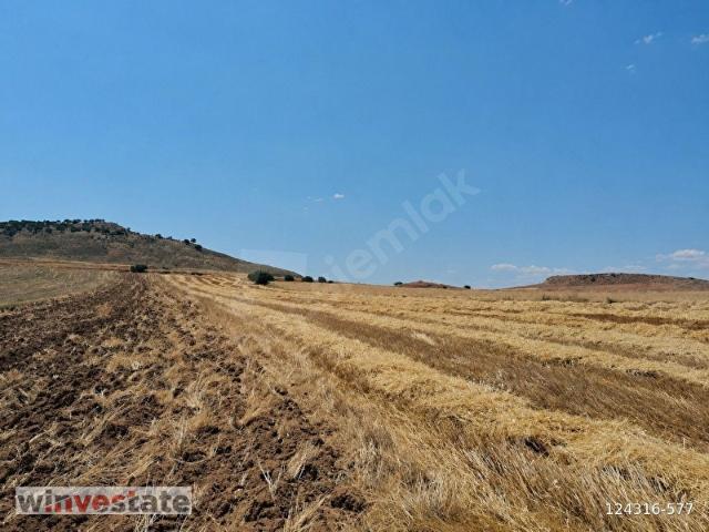 Nallihan, Ankara içerisinde satılık Arsa