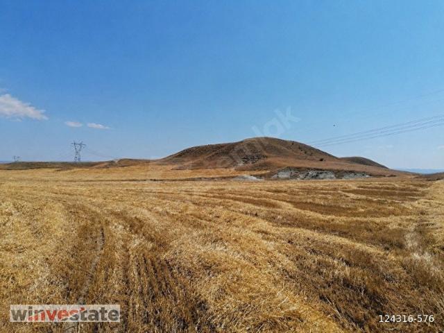 Nallihan, Ankara içerisinde satılık Arsa