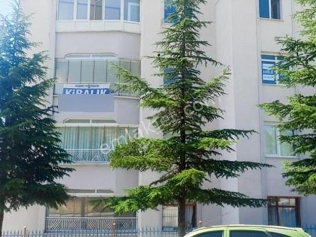 Şehitlik Mahallesi, Polatlı içerisinde kiralık mülk