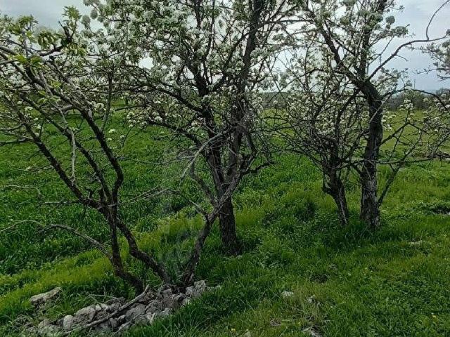 Polatli, Ankara içerisinde satılık mülk