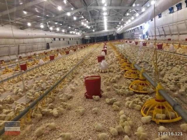 Polatli, Ankara içerisinde satılık Fabrika