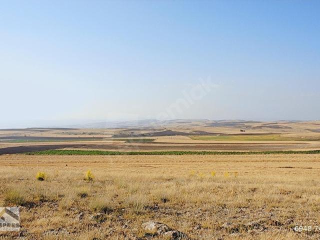 Polatli, Ankara içerisinde satılık Arsa