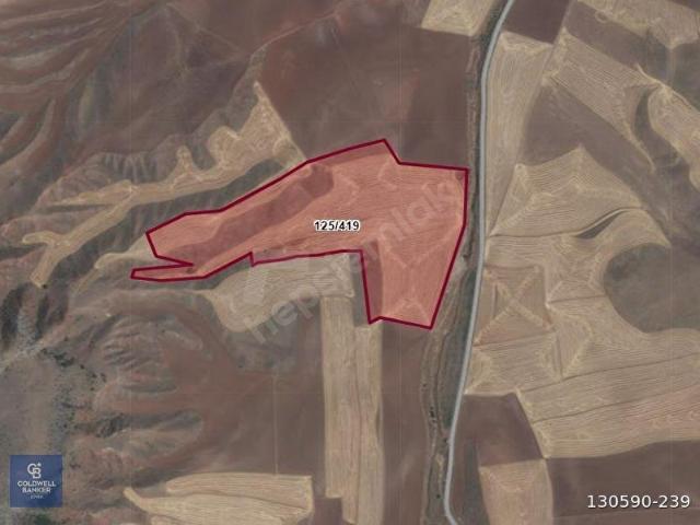 Polatli, Ankara içerisinde satılık Arsa