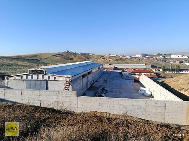 Gülveren Mahallesi, Polatlı içerisinde satılık Fabrika